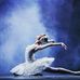 Alexandra Swan - Facebook
