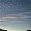 Alexandra Vancea - @alexandravancea1 - TikTok