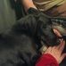 Alexandra Wirth - Facebook