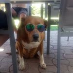 Alexandre Bastien - @alexandre.bastien.71 - Instagram