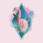 Alexandre Beaudoin - @mrpinkyflamingo - Instagram