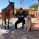 Cabral Alexandre - @alexandre.cabral_ - Instagram