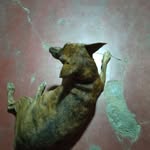 Alexandre Gama - @alexandre.gama.100046 - Instagram