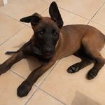Alexandre Guichard - @alex843003 - Instagram