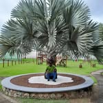 Alexandre jardinagem - @jardineiro_alexandre17 - Instagram