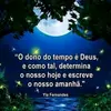Alexandre Jesus - @alexandrejesus283 - TikTok