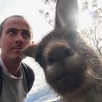 Alexandre Lavigne - @the_traveller_monkey - Instagram