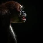 Alexandre LAVIGNE - @surunsentierperdu - Instagram