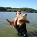 Alexandre lavigne carpe - Facebook