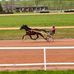 Alexandre Ledoux - Facebook