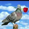 alexandremartinez78 - @alexandremartinez78 - TikTok