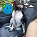 Alexandre Mercier - Facebook