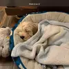 Alexandre Mercier - @alex.soccer232 - TikTok