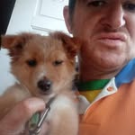 Alexandre Perondi - @alexandre.perondi - Instagram