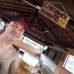 Alexandre Sales - Facebook