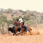 Alexandre Santana - @alexandresantana__ - Instagram