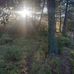 Alexandre Tessier - Facebook