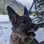 Alexandre Vaillancourt - @alexvwxyz - Instagram