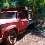 alexandro baez - @alexandrobaez9 - Instagram