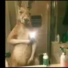 Alexandro Castillo - @alexandro.castill38 - TikTok