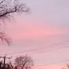 Alexia - @alexiabushi1024 - TikTok