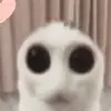 alexiaa - @alexiaportillo07 - TikTok