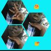 Alexia_price - @alexia_price - TikTok