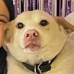 alexia wong - @elisabeth_2023_ - Instagram