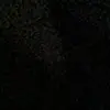 ALEXIS - @alexisambriz4 - TikTok
