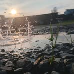 Alexis Andrei - Facebook