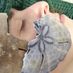 Alexis Aronson - Facebook