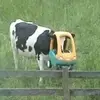 alexis baze - @alexisbaze - TikTok