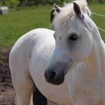 Alexis Bauman - @alexisbaumans_spam_account_ - Instagram