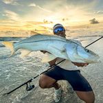 Alexis Santana - @alexisfishingyt - Instagram