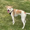 alexisgarrison63 - @alexisgarrison63 - TikTok