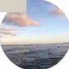 Alexis - @alexisgilbert444 - TikTok