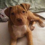 baby_girl_0604 - @alexisgoad4 - Instagram