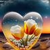 Alexis Goff - Facebook