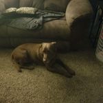 alexis hurst - @alexishurst4 - Instagram