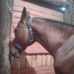 Alexis Imhoff - Facebook
