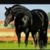 Alexis Imhoff - Facebook