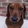 Alexis - @alexis.joubert - TikTok