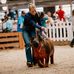 Lexi Lichty - Facebook