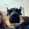 Alexis Mapes - @alexismapes - TikTok