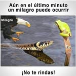 Alexis Marte Montas - @montas_03 - Instagram