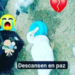 alexis mendivil - @ariasel2 - Instagram