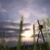 Alexis Mercado - @alexismercado05 - TikTok