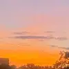 alex - @alexispeele - TikTok