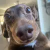 Alexis - @alexis._.peele - TikTok