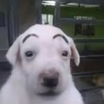 ALEXIS_PERALTA - @alexis_peralta737 - Instagram